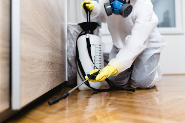 Best Pest Removal Services  in Graham, WA