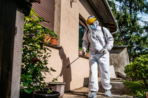 Best Bed Bug Extermination  in Graham, WA