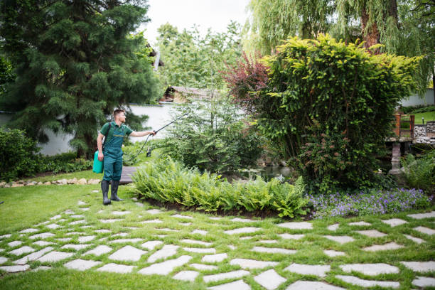 Best Ant Control Services  in Graham, WA