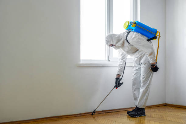 Best Pest Prevention Services  in Graham, WA