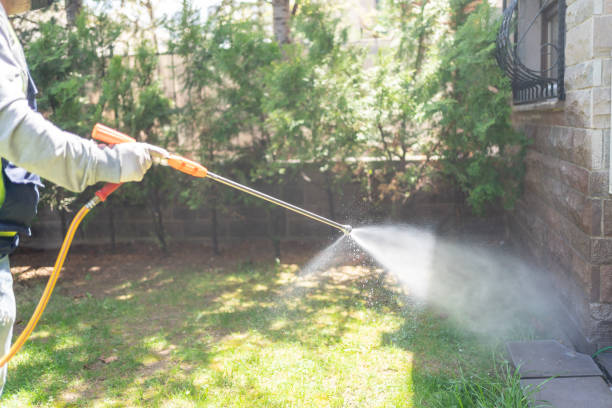 Pest Control for Restaurants in Graham, WA