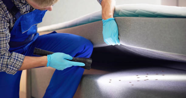 Trusted Graham, WA Pest Control Experts
