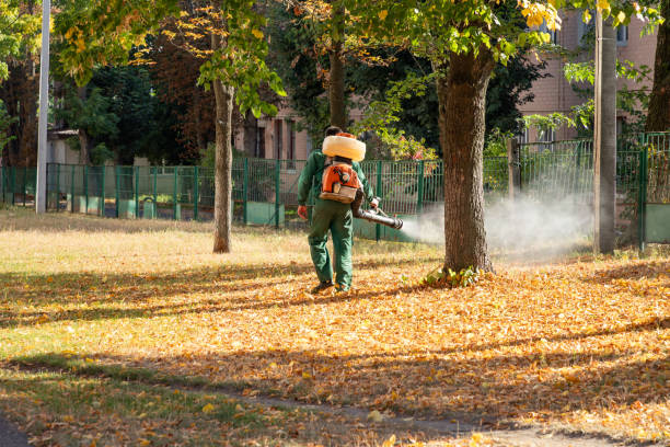 Best Pest Inspection Near Me  in Graham, WA