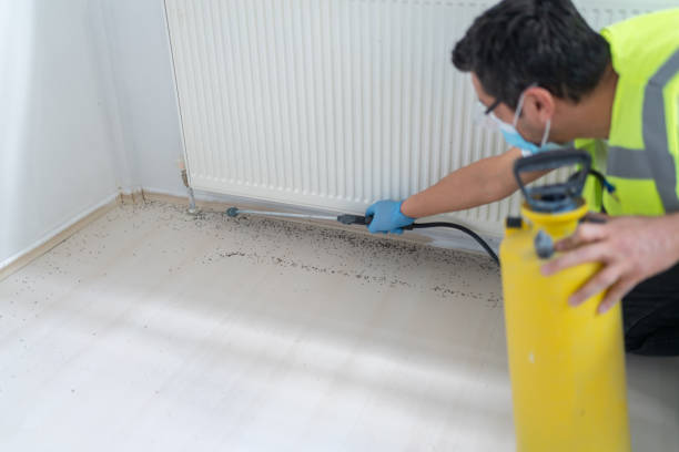Best Pest Control Near Me  in Graham, WA