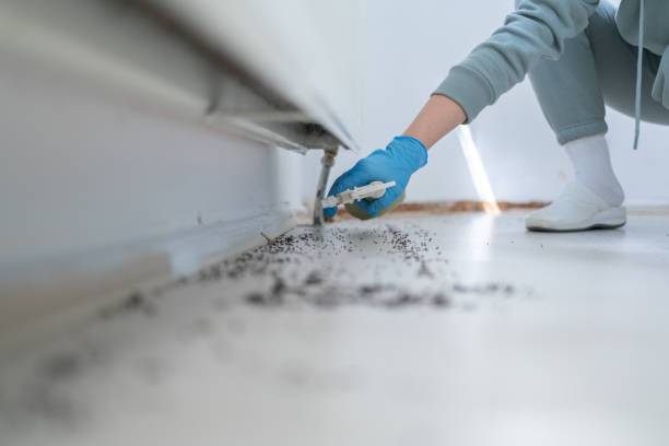 Best Pest Prevention Services  in Graham, WA