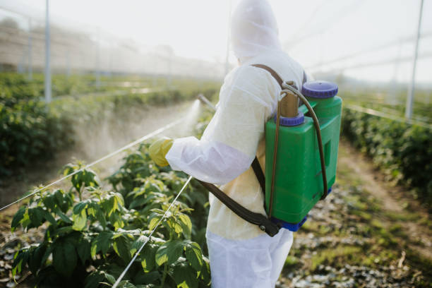 Graham, WA Pest Control Company